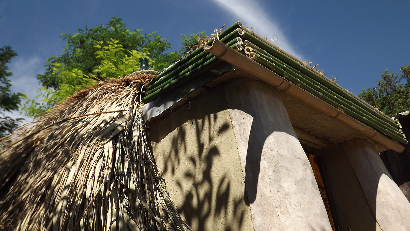 superadobe chicken house and thached roof